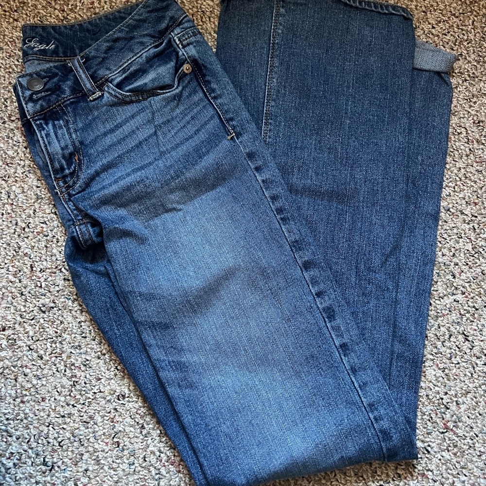 American Eagle Outfitters Artist jeans